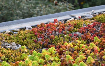 the cost of Dutlas green roof installation