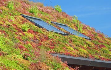 Dutlas living roof systems